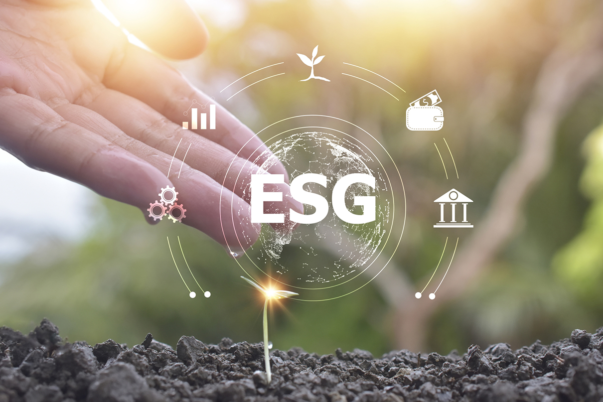 redovisningsregelverk, CSRD