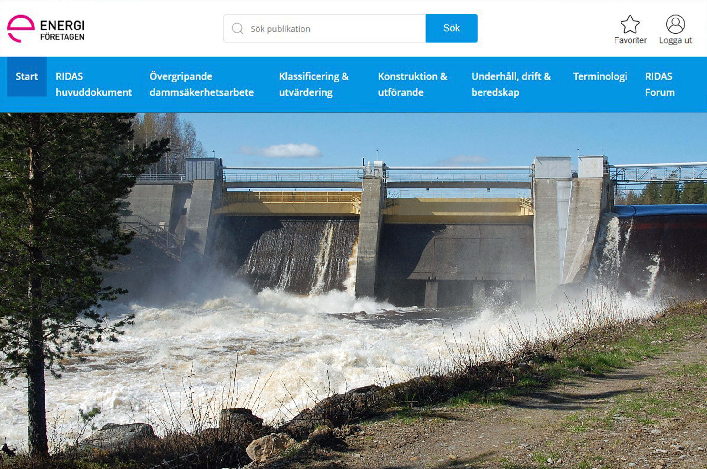 RIDAS-e företagsprenumeration