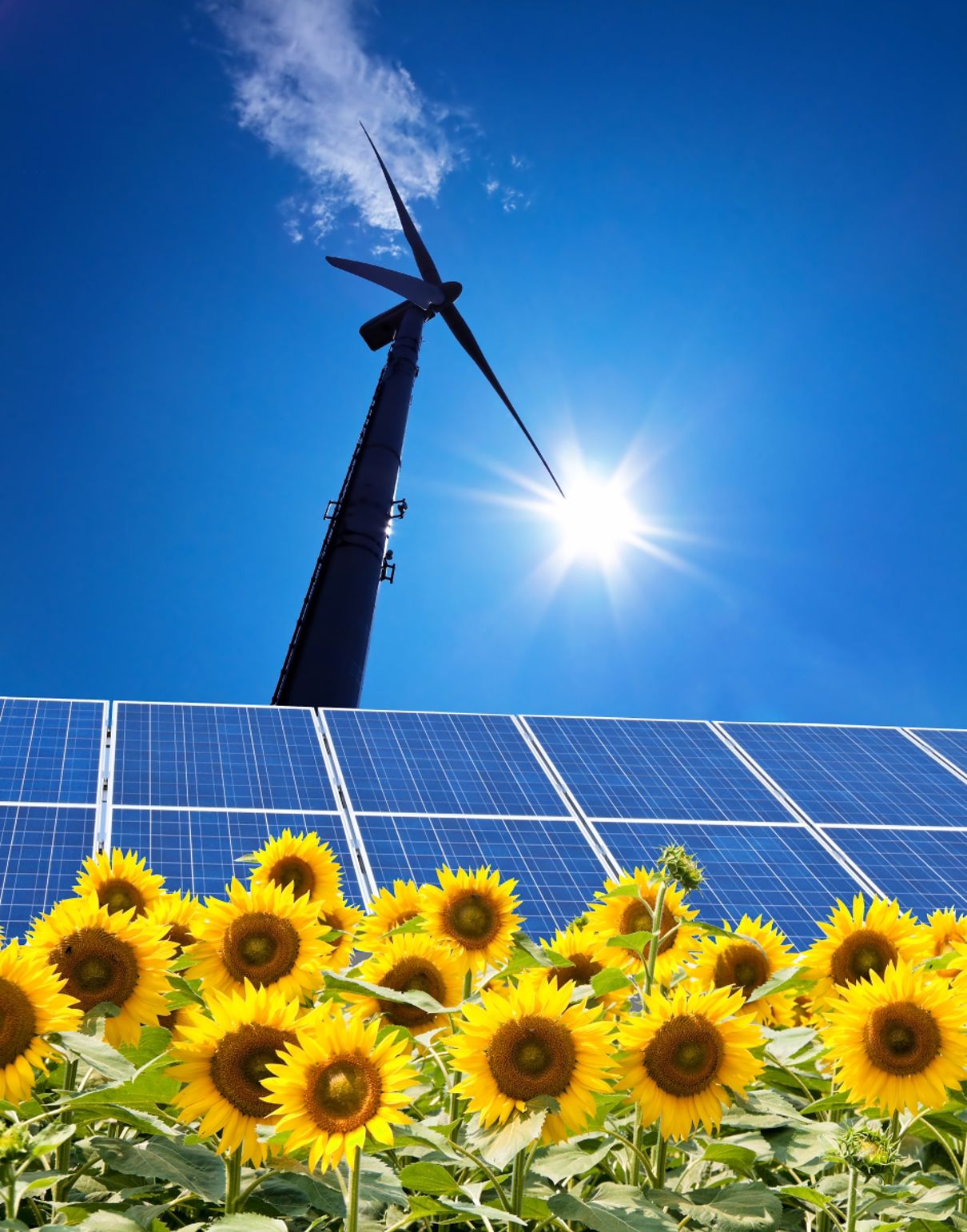 1349571-solar-power-plant(1).jpg-mostphotos