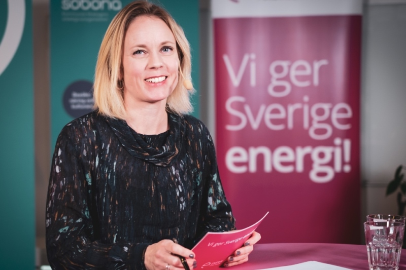 Lisa Hjelm, Energiföretagen, modererade seminariet om Strategisk kompetensförsörjning 2020.