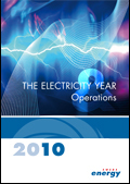 Electricity year 2010