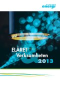 Elåret 2013
