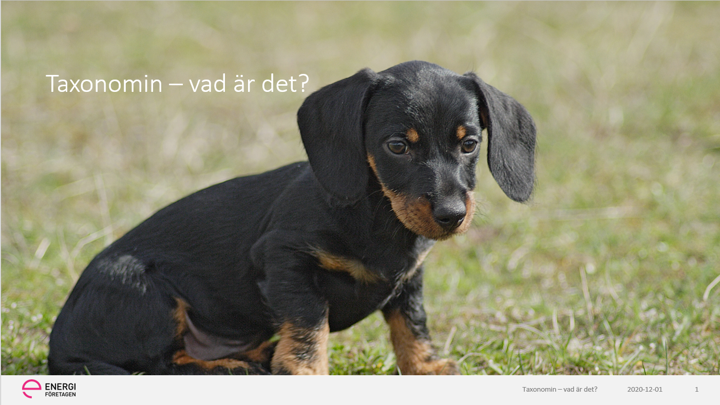 Taxonomin - vad är det.PNG